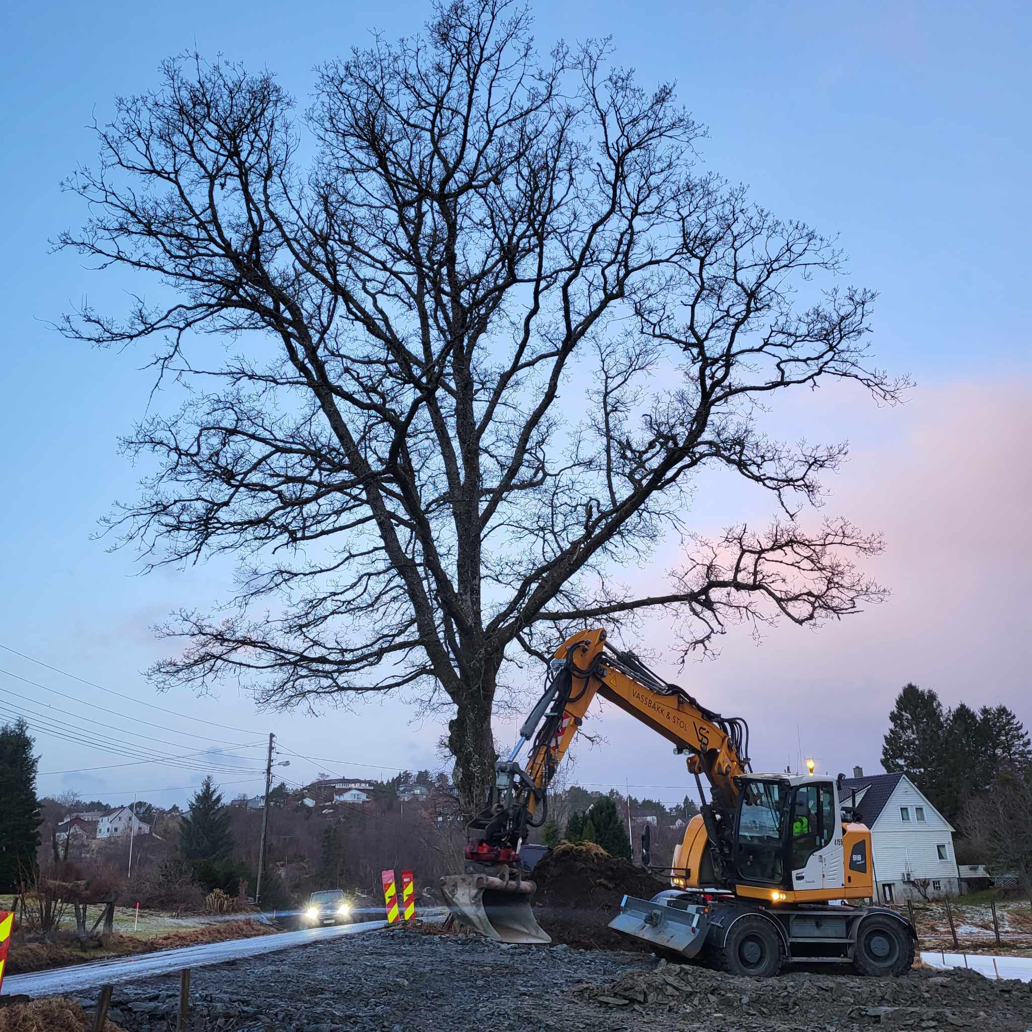 Gravemaskin arbeider ved stort tre nær vei, med trafikk og boliger i bakgrunnen.